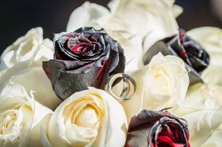 Erick Olvera - Fotógrafo - 9