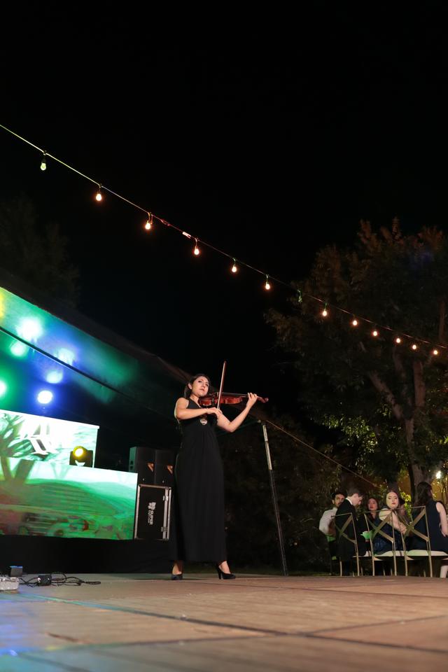 Violinist On Point - 2