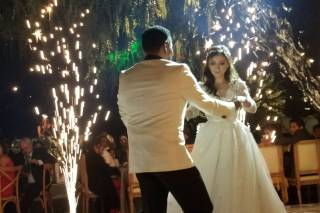 Ana Sophia Event - 4