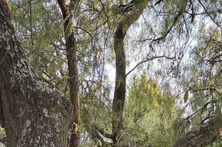 Quinta Lago Texcoco - 5