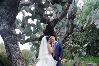 Wedding Whispers - 2
