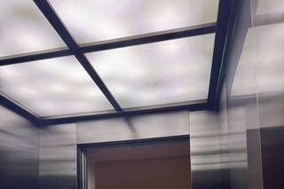 Dreamed Experience Society - 5