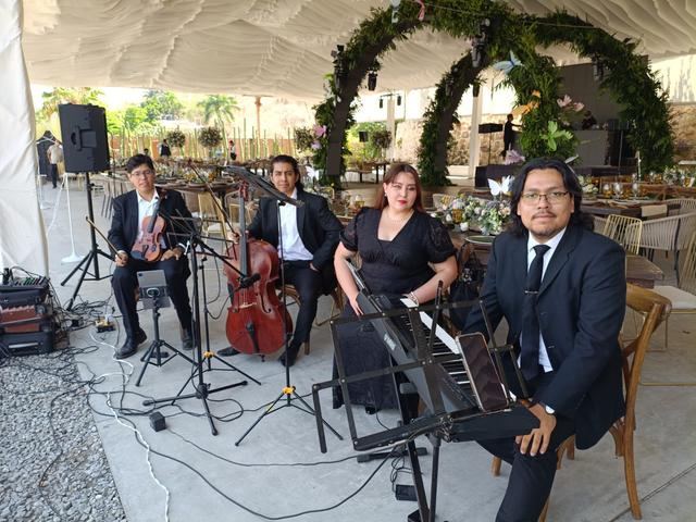 Ensamble Alma de Cuerdas - 1