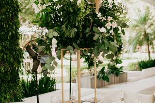 Quinta Pavo Real - 5