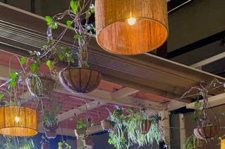 Zunzún Jardín Insular - 15