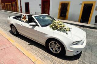 CarWhite Rent Elite - 5