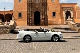 CarWhite Rent Elite - 6