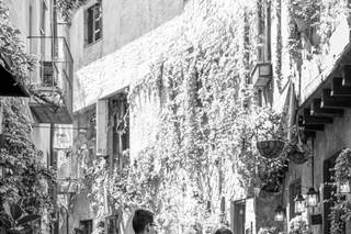 Andrea Medina Photography - 2
