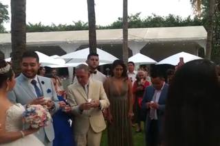 Alas de Amor Mariposas - 11