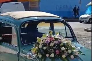 Lexander Florería - 7