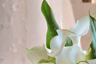 Florería Mary - 5