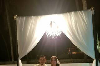 Papillon Making Dreams - 15