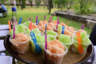 Cynthia Sierra Wedding & Event Planner - 5