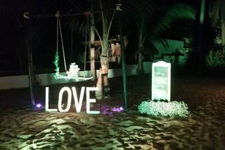 Papillon Making Dreams - 17