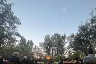 Rocío Hijar Weddings - 5