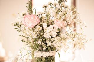 Plantita Coqueta - 4