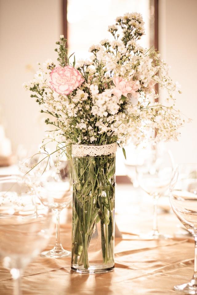 Plantita Coqueta - 3