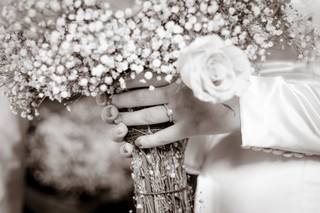 Plantita Coqueta - 6