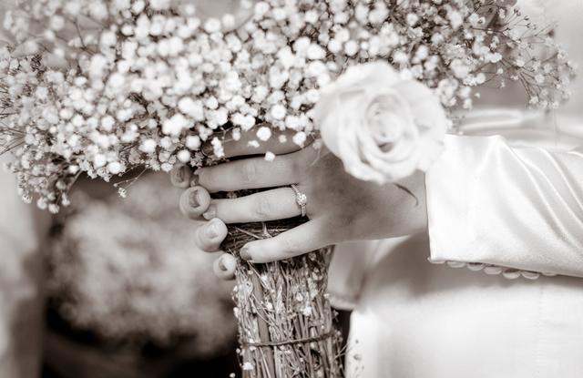 Plantita Coqueta - 2