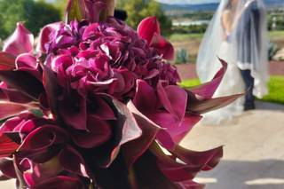 Flor bonita by Any Romero - 5
