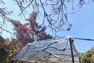 Eventos Chaplins - 15