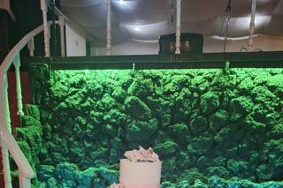 Dulces Emociones - 24