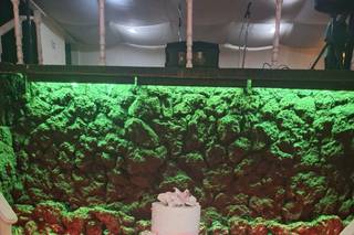 Dulces Emociones - 25