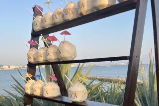 Coketo - Cocos para beber - 5