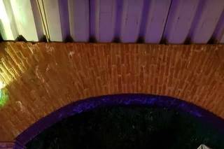Jardín La Palapa - 11