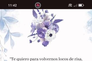 Invitaciones Digitales MX - 3