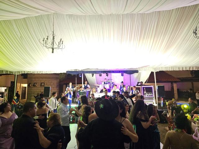 Banda Stylos - 3