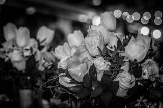 Arriba Los Novios - 8