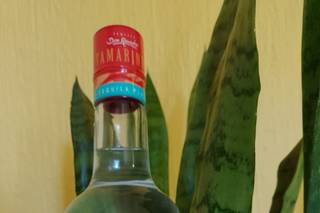 Primero El Tequila - 5