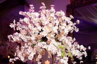 Capitolio Eventos - 12