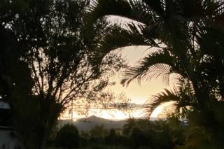 La Casa del Tule - 5