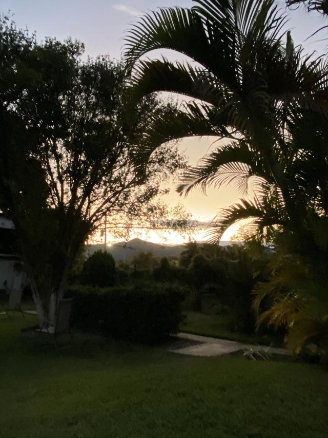 La Casa del Tule - 2