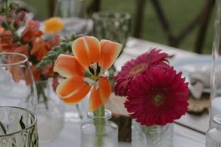 Galería Floral - 5