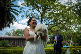 La Casa del Tule - 12