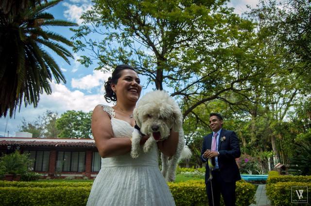 La Casa del Tule - 4