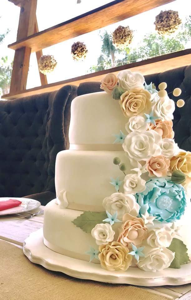 Cup and Cake - 2