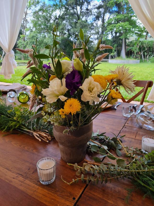 Floresrudas i plantasrudas - 1