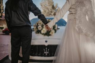Elegantcar - 11