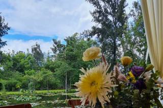 Floresrudas i plantasrudas - 7