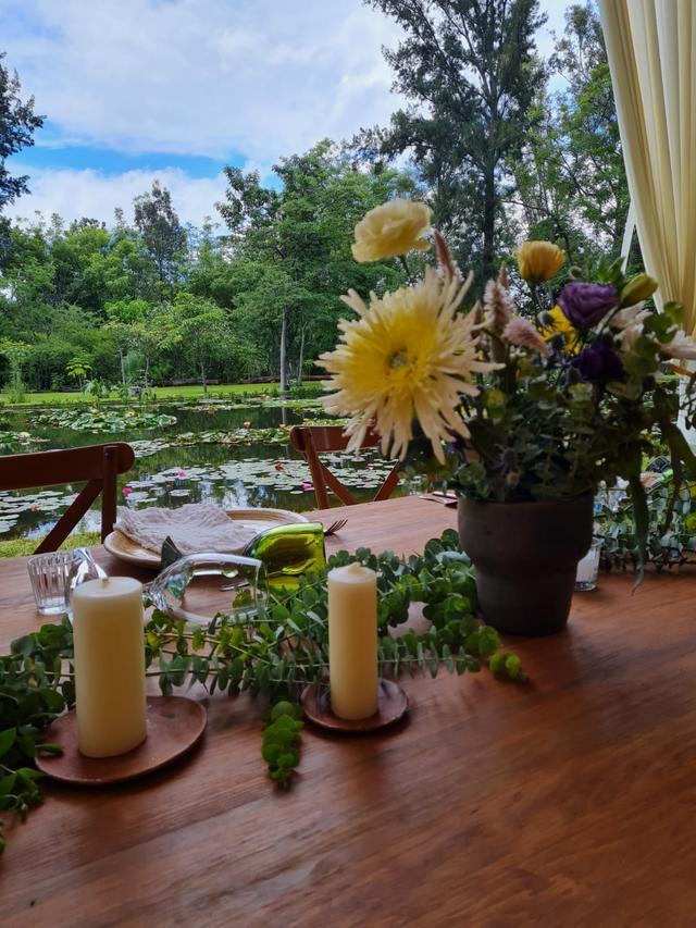 Floresrudas i plantasrudas - 3