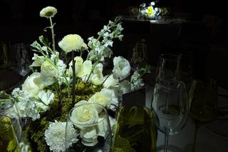 Golden Memories Project - 8