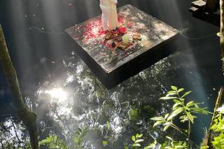 Events Weddings - 6