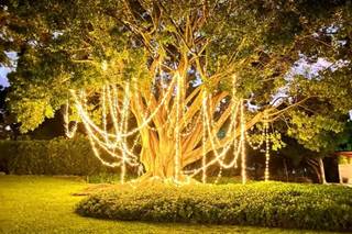 Decoraciones & Ceremonias Mandala - 5