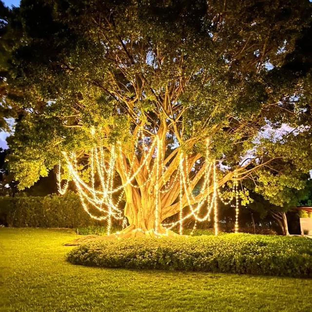 Decoraciones & Ceremonias Mandala - 1