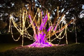 Decoraciones & Ceremonias Mandala - 6