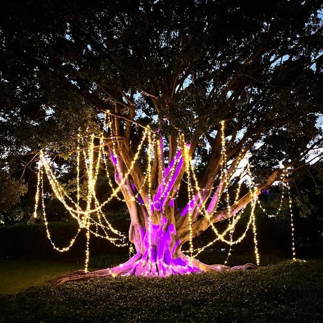 Decoraciones & Ceremonias Mandala - 3